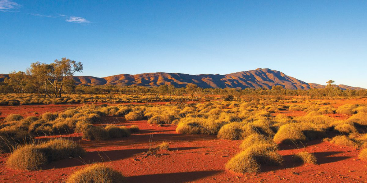 Landscape image of Ali Curing in remote Australia